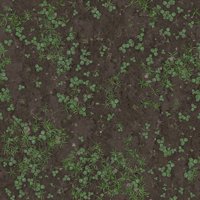 Asset preview